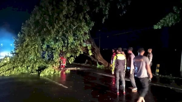 Angin Kencang Terjang Demak, Empat Pohon dan Satu Reklame Roboh