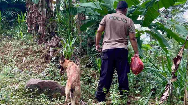 Anjing Pelacak Dikerahkan untuk Mencari Lansia Hilang di Tanjung Jepara