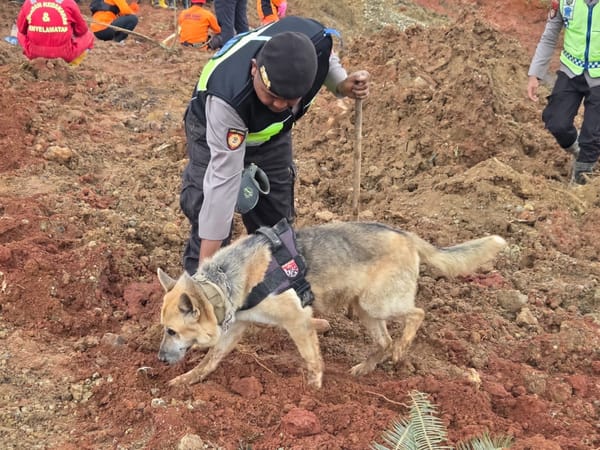 Momen Anjing Pelacak Polda Jateng Diterjunkan Cari Korban Longsor di Cilacap