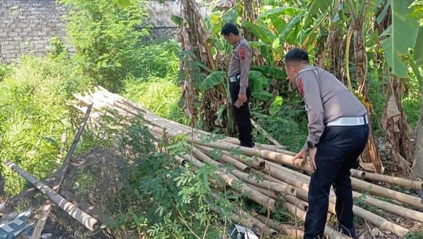 Truk Pengangkut Bambu Kabur Usai Kecelakaan di Klaten Akhirnya Terlacak