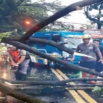 Kota Malang Dikepung Banjir dan Pohon Tumbang Akibat Hujan Deras