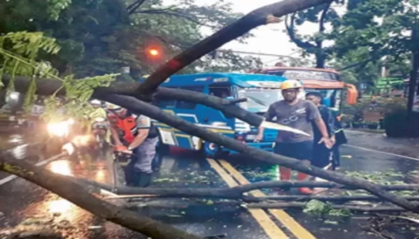 Kota Malang Dikepung Banjir dan Pohon Tumbang Akibat Hujan Deras