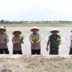 Polres Sukoharjo dan Pemda Olah 20 Hektar Sawah untuk Perkuat Ketahanan Pangan