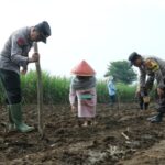 Inisiatif Polresta Malang Kota: Berkontribusi bagi Swasembada Pangan Indonesia