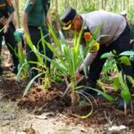 Inovasi Ketahanan Pangan Polres Batang Manfaatkan Lahan Kosong di Seluruh Polsek