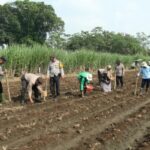 Polresta Malang Kota Sinergi dengan Pemerintah, Dukung Ketahanan Pangan